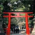 Japonija.jpg