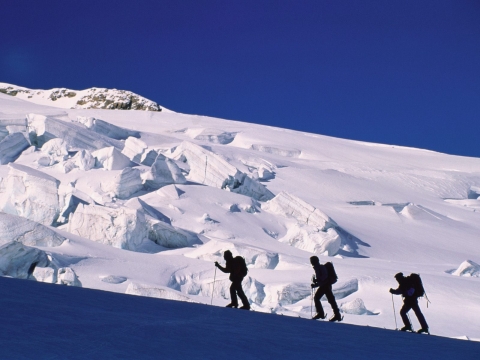 Alpinistai